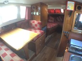 Freeman 24 Boat for Sale, "Homer Simpson" - thumbnail - 9