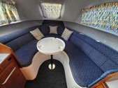 Viking 22 Wide Beam Boat for Sale, "Crispy Duck" - thumbnail - 2