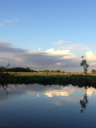 River Great Ouse by Anne Taylor