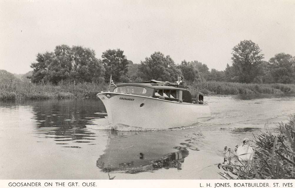 Goosander on the Great Ouse historical