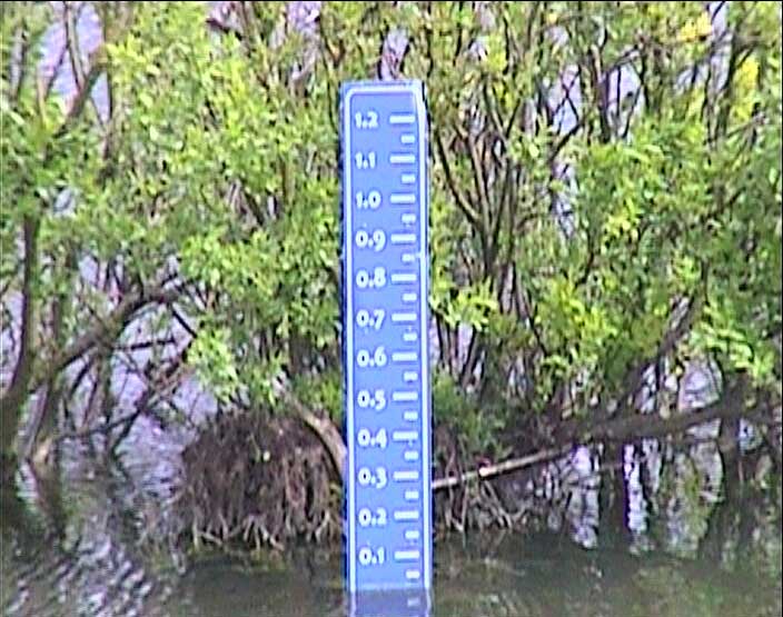 Webcam Image - Water Level