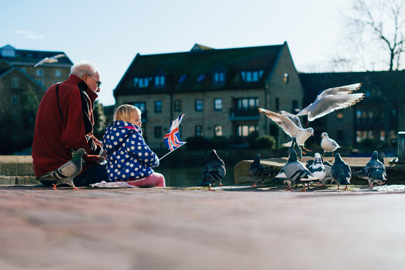 St Ives Quay by Chris Boland town wildlife