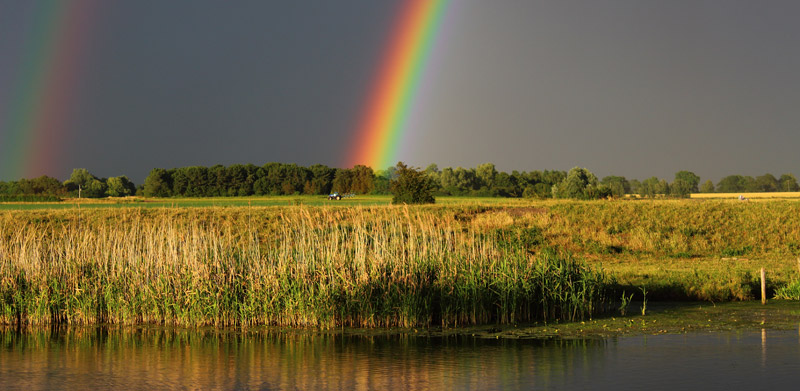 River Rainbow by Tim Goodacre
