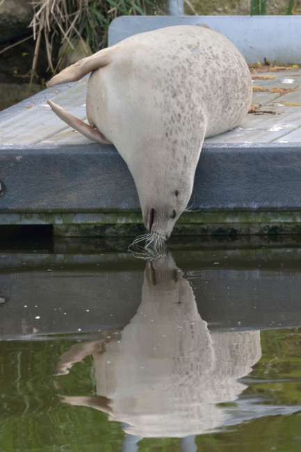2015 Photo Comp: Kevin Loader