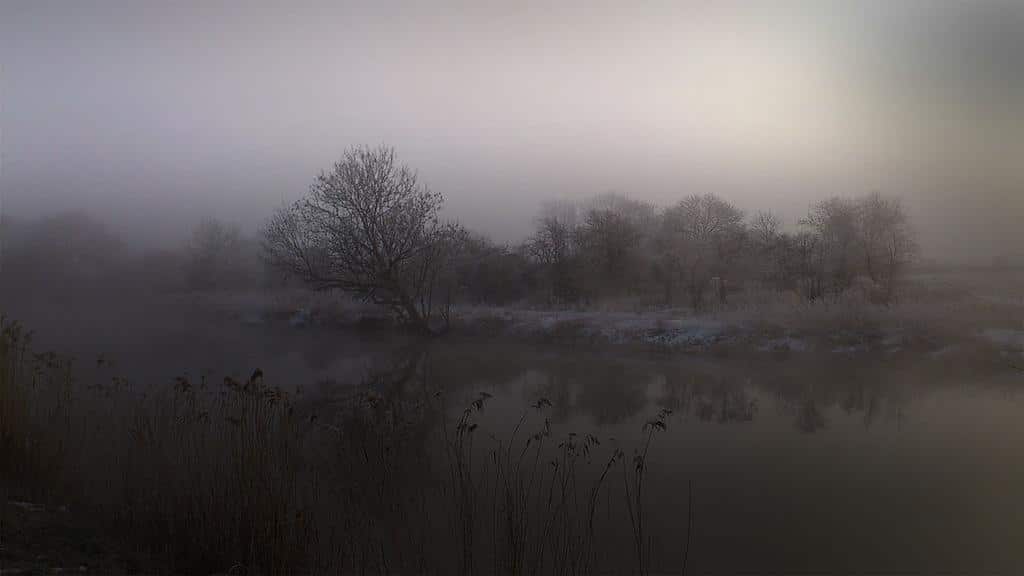 Fog River