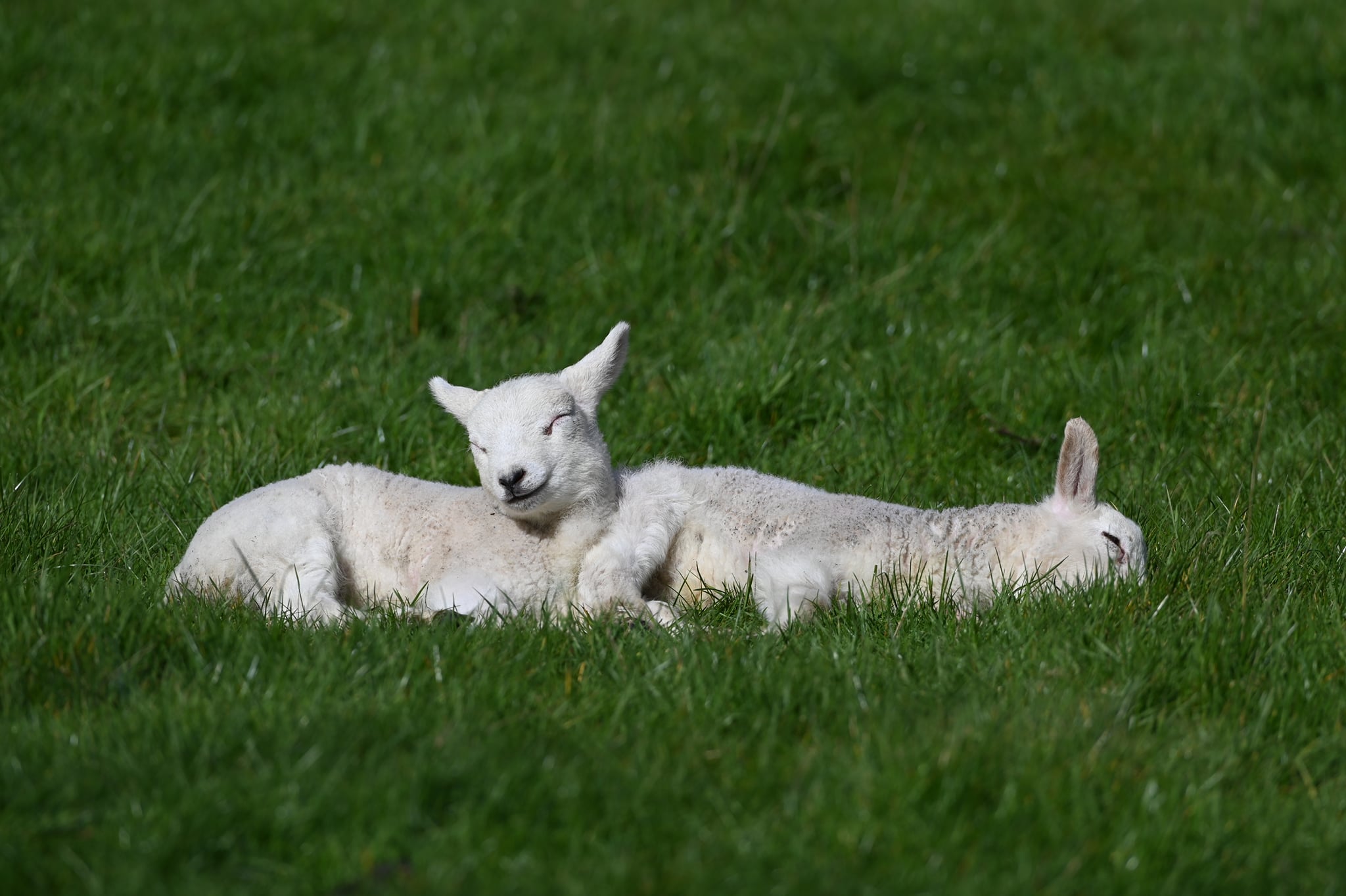 168672338_4732881433405186_1091846665606142781_n