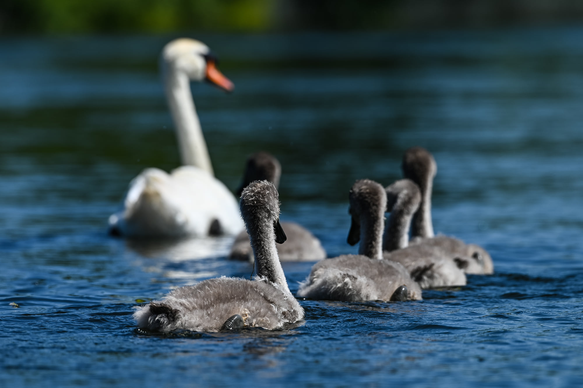 233572814_5134825669877425_6468397029802838168_n