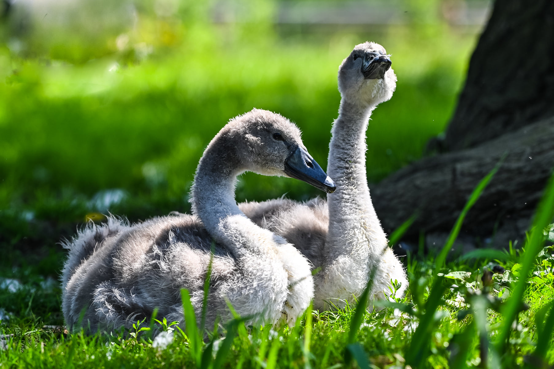 233584854_5134824486544210_2538706218450184049_n