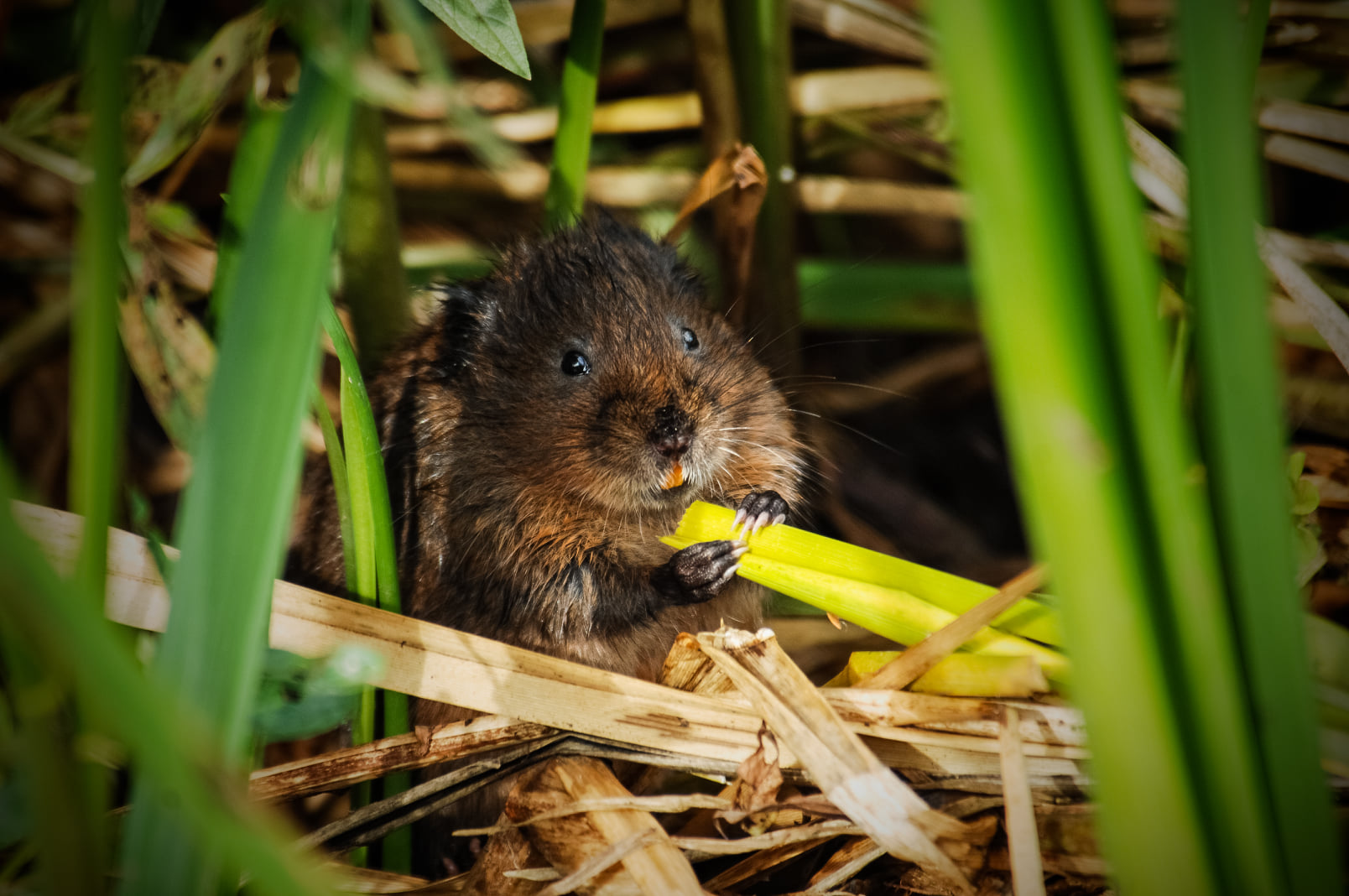 240845558_5204247186268606_1720431495587967404_n