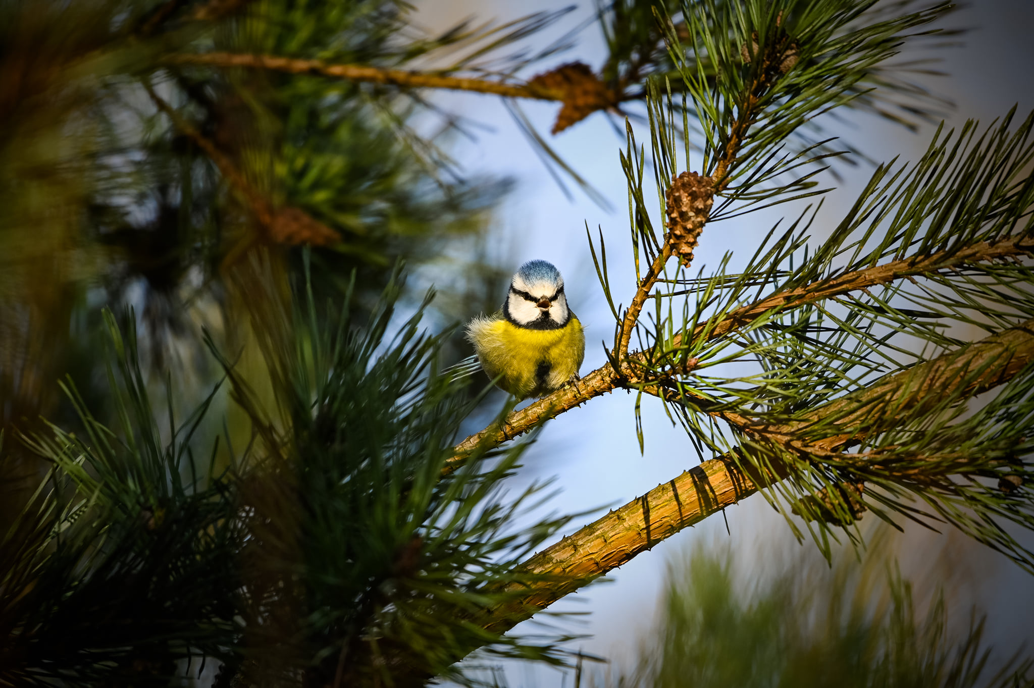 272295995_5751813648178621_6512136686423149421_n