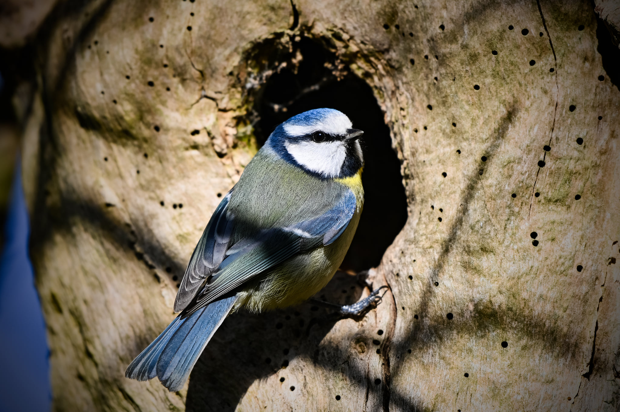 272904001_5791846744175311_6927501964961438774_n