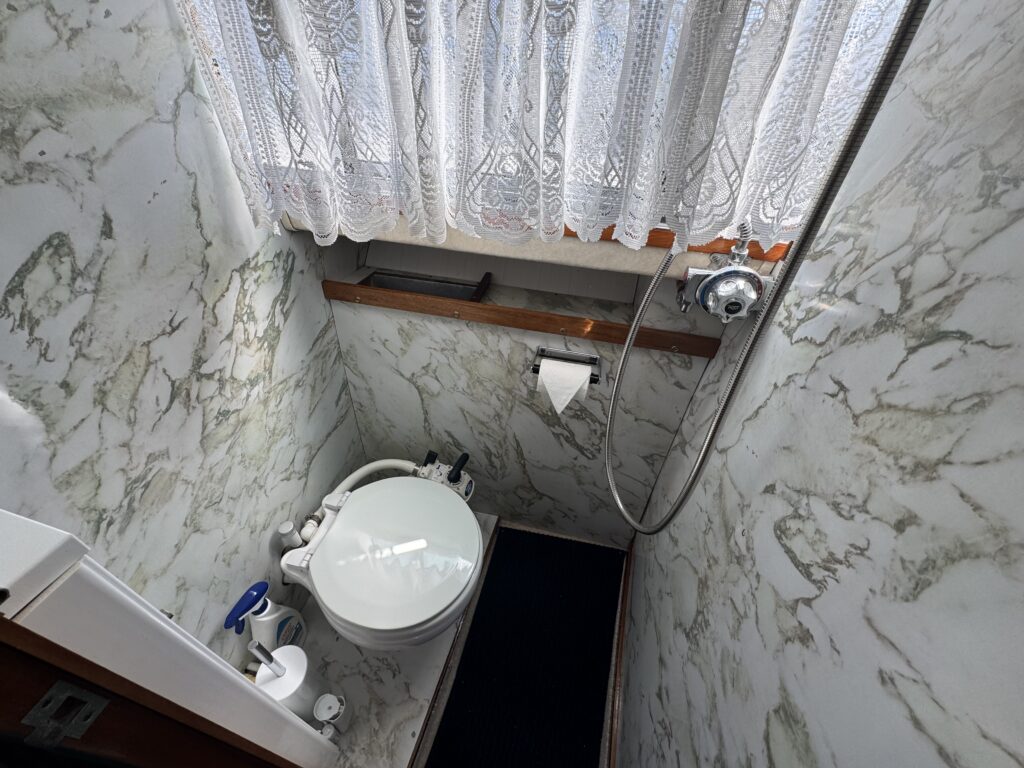 A compact bathroom featuring a white toilet and a shower with a handheld nozzle. The walls are covered with marble-patterned panels, and a white lace curtain hangs over a small window, allowing natural light to enter.