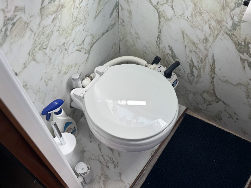 A white toilet with a round bowl is positioned against a marbled wall. Beside the toilet, there are cleaning supplies, including a blue spray bottle and a white container, on a dark blue rug.