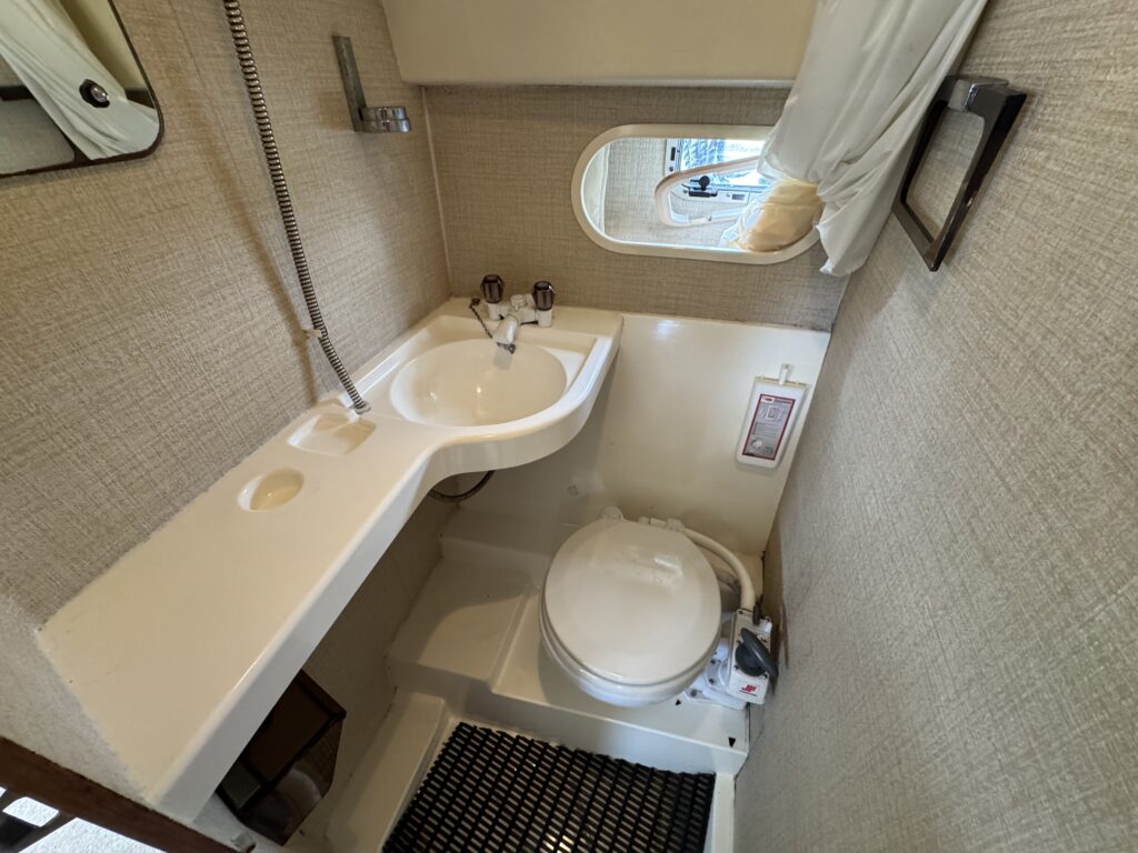 A compact bathroom featuring a white sink and a round toilet. The wash area includes a showerhead above the sink and a window with natural light. Textured beige walls and a black mat are visible on the floor.