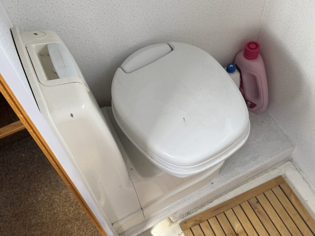 A white toilet positioned against a wall in a small bathroom space. To the left, a white cabinet is mounted beside the toilet, and on the right, there are bottles of cleaning supplies, including a pink one.